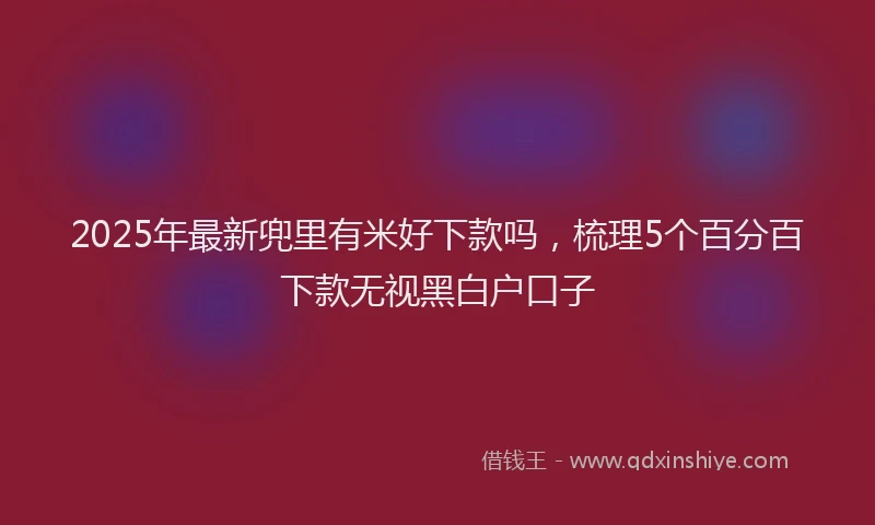 2025年最新兜里有米好下款吗，梳理5个百分百下款无视黑白户口子