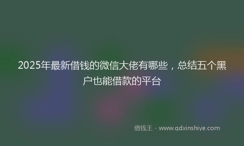 2025年最新借钱的微信大佬有哪些，总结五个黑户也能借款的平台