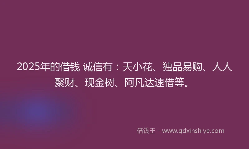 2025年的借钱 诚信有：天小花、独品易购、人人聚财、现金树、阿凡达速借等。