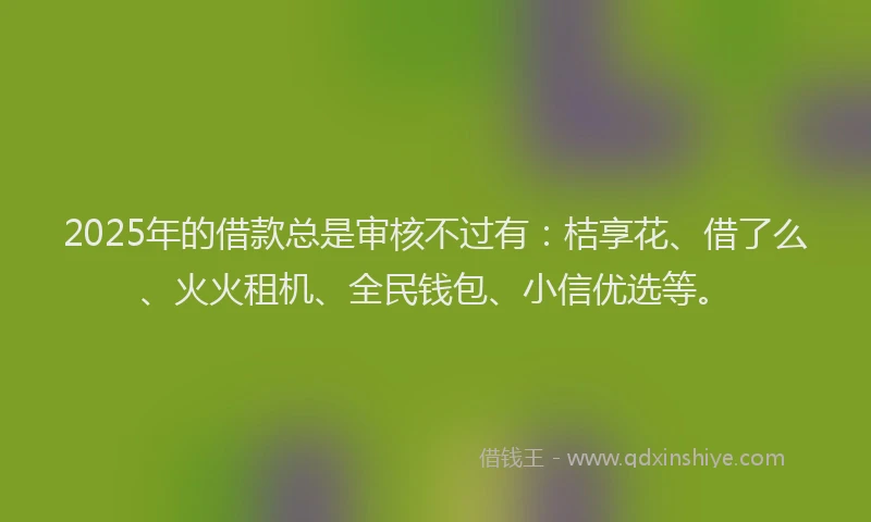 2025年的借款总是审核不过有：桔享花、借了么、火火租机、全民钱包、小信优选等。