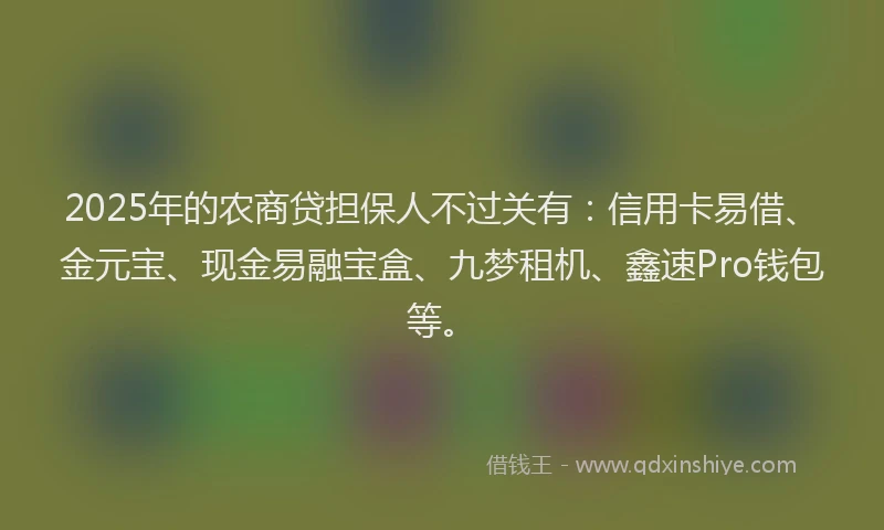 2025年的农商贷担保人不过关有：信用卡易借、金元宝、现金易融宝盒、九梦租机、鑫速Pro钱包等。