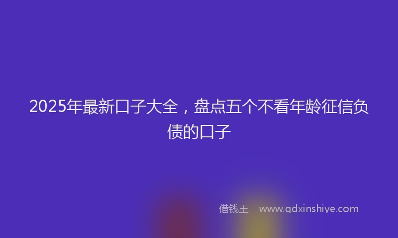 2025年最新口子大全，盘点五个不看年龄征信负债的口子