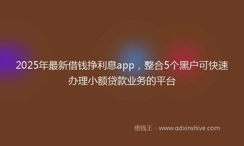 2025年最新借钱挣利息app，整合5个黑户可快速办理小额贷款业务的平台
