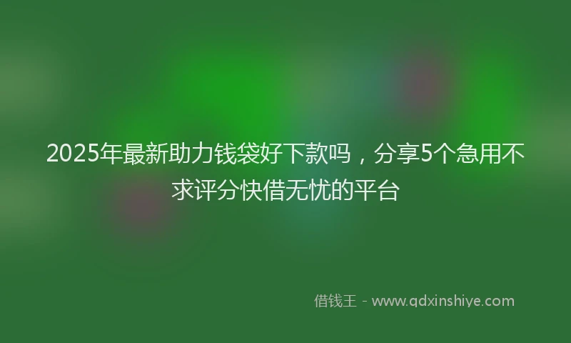 2025年最新助力钱袋好下款吗，分享5个急用不求评分快借无忧的平台