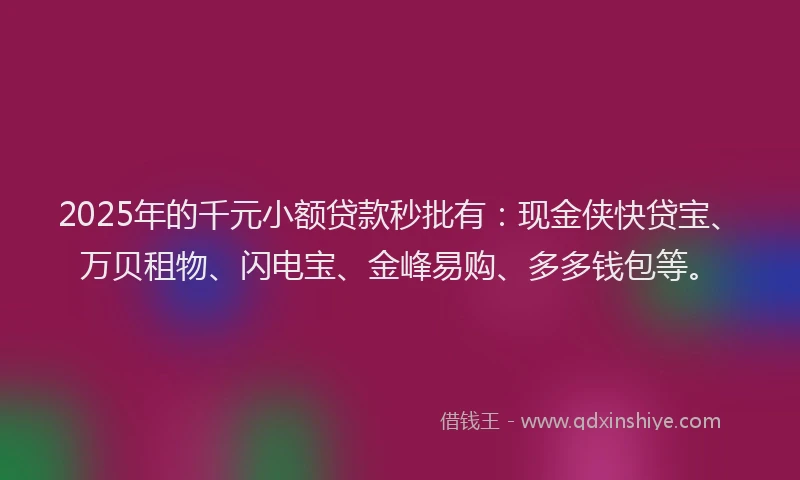 2025年的千元小额贷款秒批有：现金侠快贷宝、万贝租物、闪电宝、金峰易购、多多钱包等。