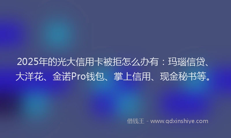 2025年的光大信用卡被拒怎么办有：玛瑙信贷、大洋花、金诺Pro钱包、掌上信用、现金秘书等。