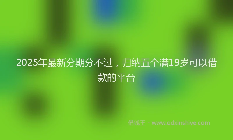2025年最新分期分不过，归纳五个满19岁可以借款的平台