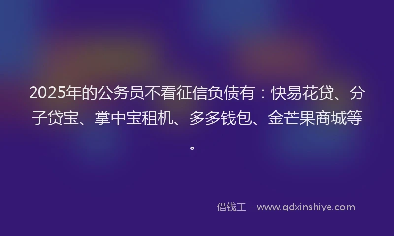 2025年的公务员不看征信负债有：快易花贷、分子贷宝、掌中宝租机、多多钱包、金芒果商城等。