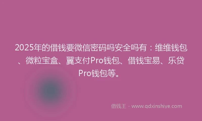 2025年的借钱要微信密码吗安全吗有：维维钱包、微粒宝盒、翼支付Pro钱包、借钱宝易、乐贷Pro钱包等。