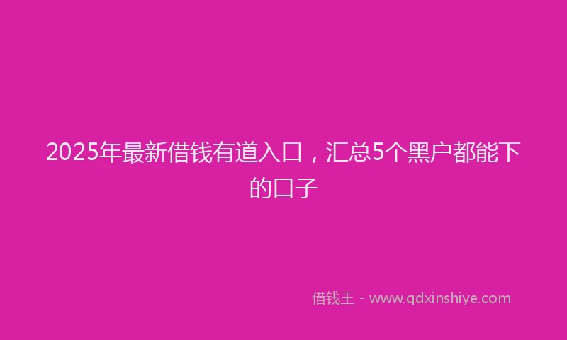 2025年最新借钱有道入口，汇总5个黑户都能下的口子