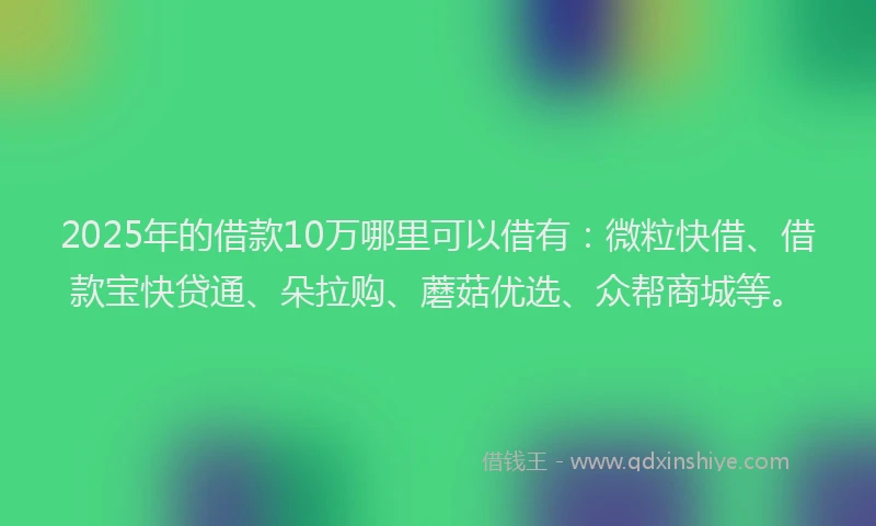2025年的借款10万哪里可以借有：微粒快借、借款宝快贷通、朵拉购、蘑菇优选、众帮商城等。