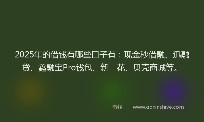 2025年的借钱有哪些口子有：现金秒借融、迅融贷、鑫融宝Pro钱包、新一花、贝壳商城等。