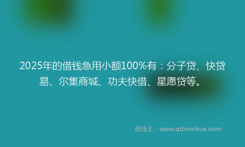 2025年的借钱急用小额100%有：分子贷、快贷易、尔集商城、功夫快借、星愿贷等。