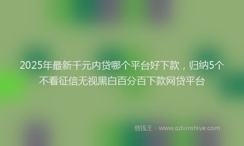 2025年最新千元内贷哪个平台好下款，归纳5个不看征信无视黑白百分百下款网贷平台