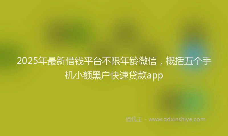 2025年最新借钱平台不限年龄微信，概括五个手机小额黑户快速贷款app