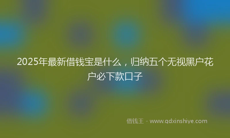 2025年最新借钱宝是什么，归纳五个无视黑户花户必下款口子