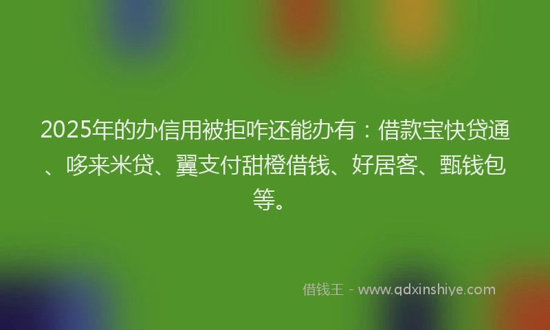 2025年的办信用被拒咋还能办有：借款宝快贷通、哆来米贷、翼支付甜橙借钱、好居客、甄钱包等。