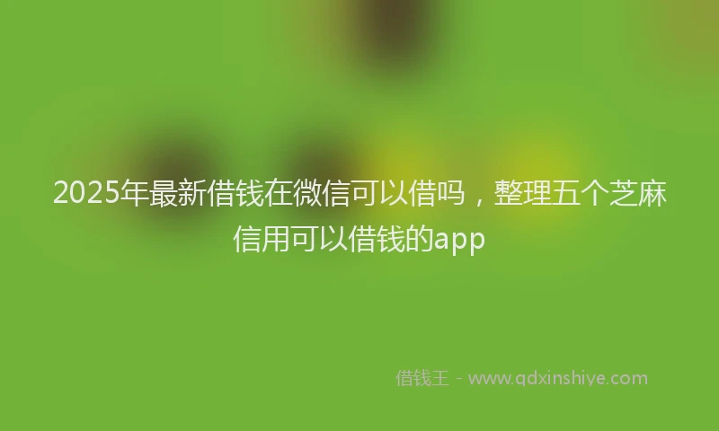 2025年最新借钱在微信可以借吗，整理五个芝麻信用可以借钱的app