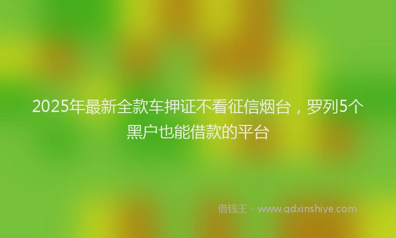 2025年最新全款车押证不看征信烟台，罗列5个黑户也能借款的平台