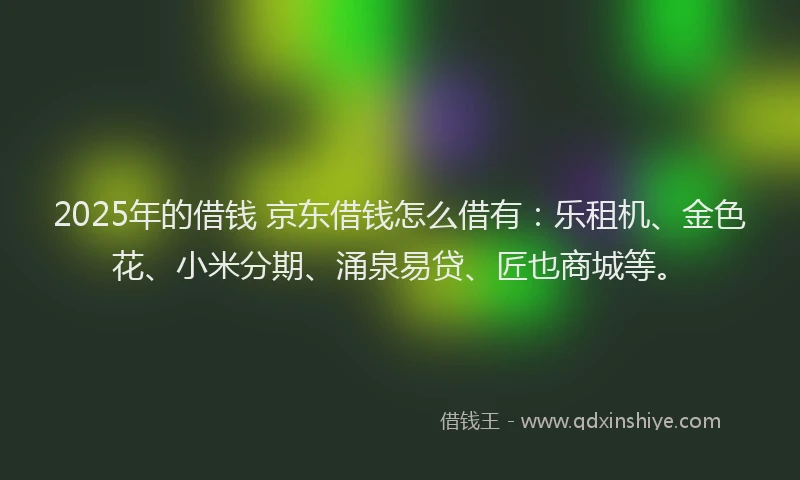 2025年的借钱 京东借钱怎么借有：乐租机、金色花、小米分期、涌泉易贷、匠也商城等。