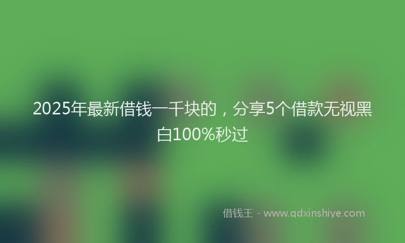 2025年最新借钱一千块的，分享5个借款无视黑白100%秒过