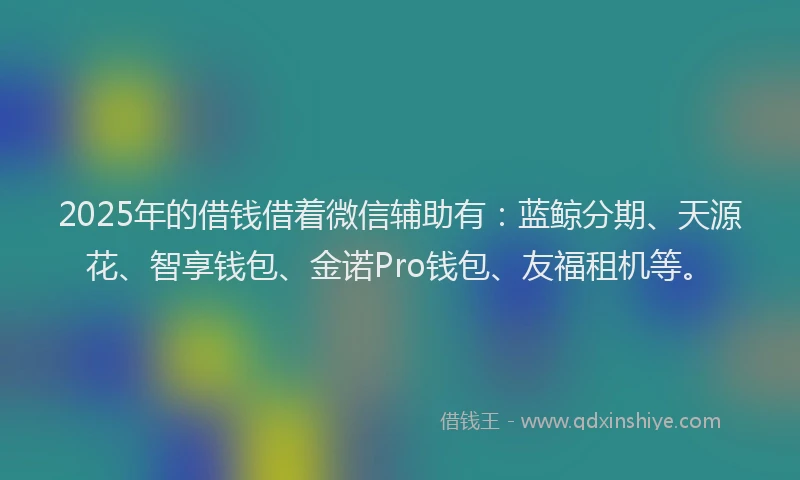 2025年的借钱借着微信辅助有：蓝鲸分期、天源花、智享钱包、金诺Pro钱包、友福租机等。