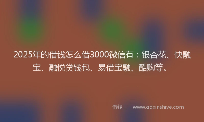 2025年的借钱怎么借3000微信有：银杏花、快融宝、融悦贷钱包、易借宝融、酷购等。