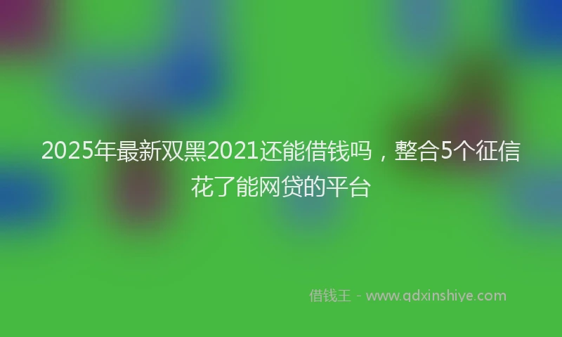 2025年最新双黑2021还能借钱吗，整合5个征信花了能网贷的平台