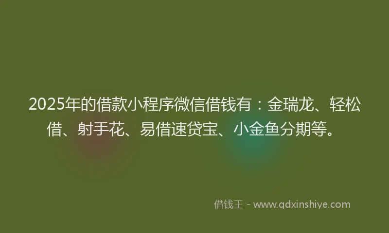 2025年的借款小程序微信借钱有：金瑞龙、轻松借、射手花、易借速贷宝、小金鱼分期等。