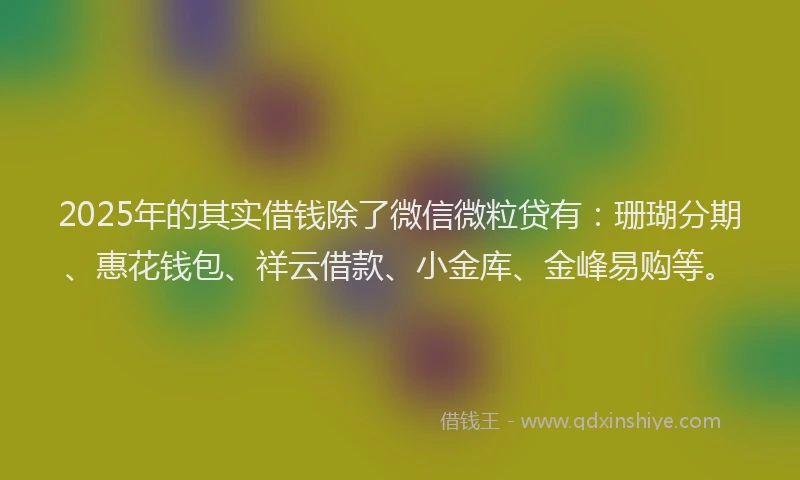 2025年的其实借钱除了微信微粒贷有：珊瑚分期、惠花钱包、祥云借款、小金库、金峰易购等。