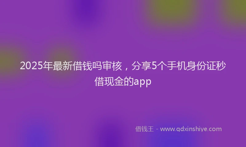 2025年最新借钱吗审核，分享5个手机身份证秒借现金的app