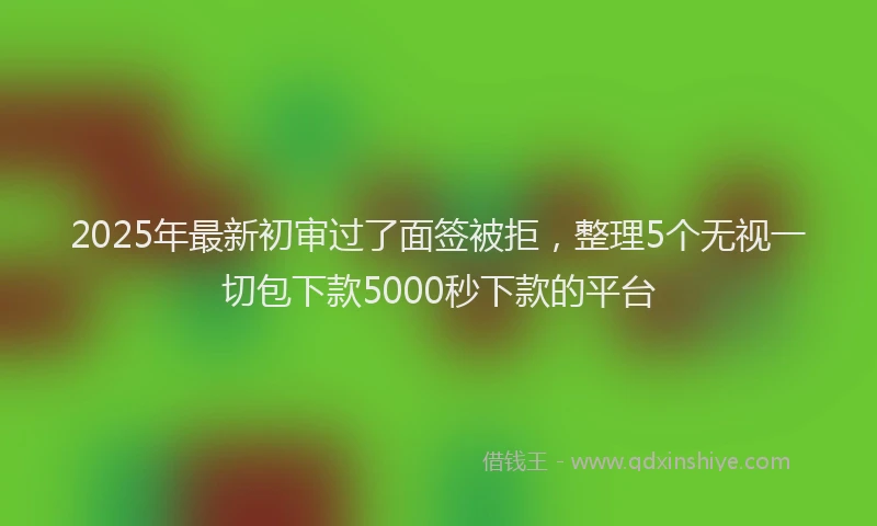 2025年最新初审过了面签被拒，整理5个无视一切包下款5000秒下款的平台
