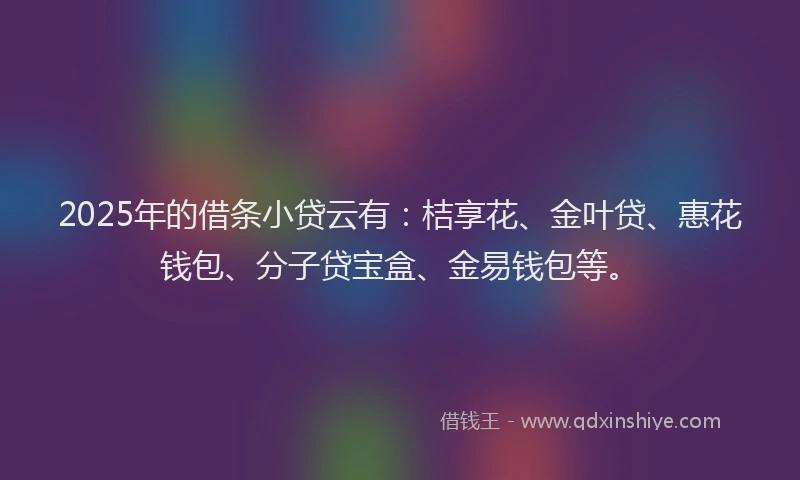 2025年的借条小贷云有：桔享花、金叶贷、惠花钱包、分子贷宝盒、金易钱包等。