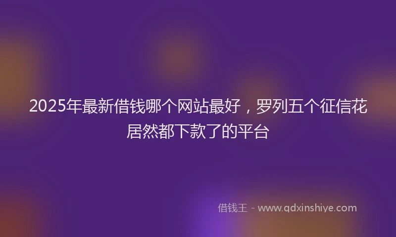 2025年最新借钱哪个网站最好，罗列五个征信花居然都下款了的平台