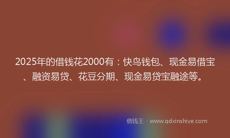 2025年的借钱花2000有：快鸟钱包、现金易借宝、融资易贷、花豆分期、现金易贷宝融途等。