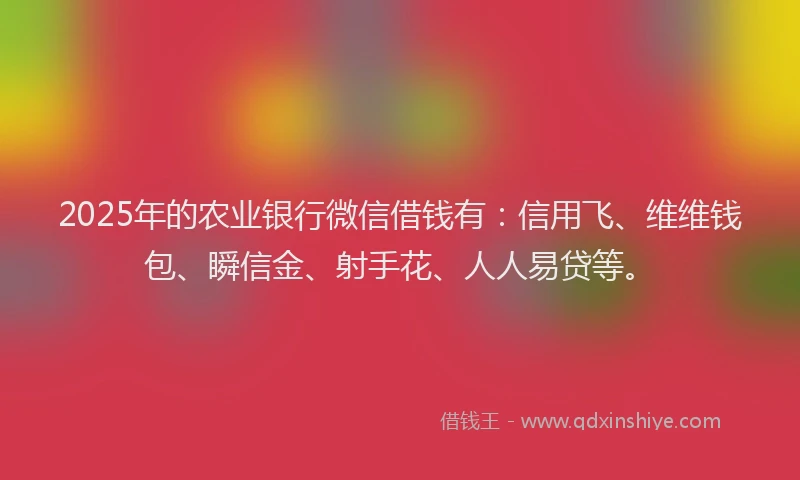 2025年的农业银行微信借钱有：信用飞、维维钱包、瞬信金、射手花、人人易贷等。