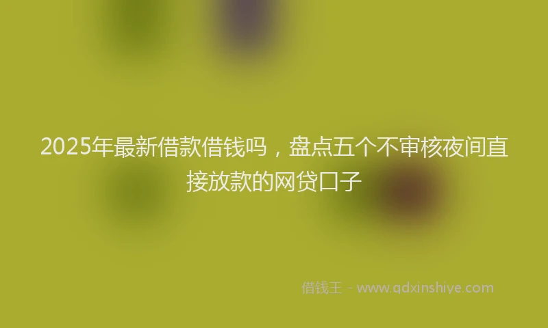 2025年最新借款借钱吗，盘点五个不审核夜间直接放款的网贷口子