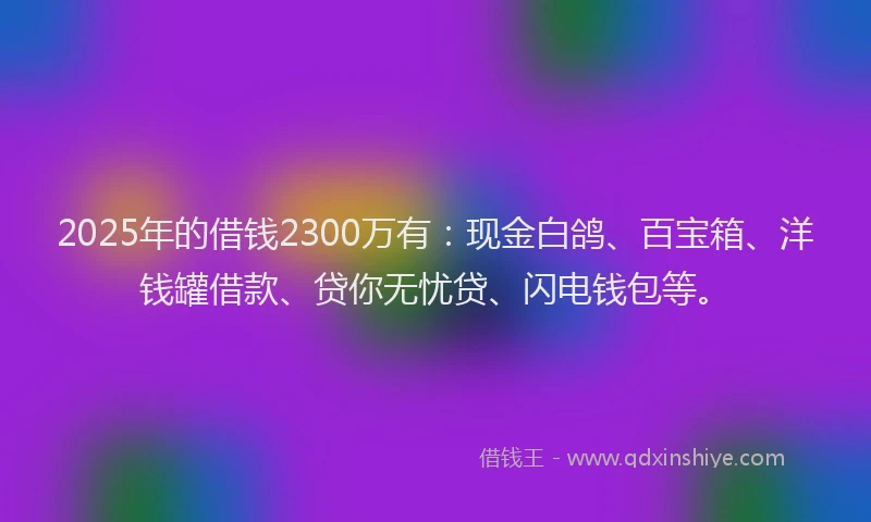 2025年的借钱2300万有：现金白鸽、百宝箱、洋钱罐借款、贷你无忧贷、闪电钱包等。
