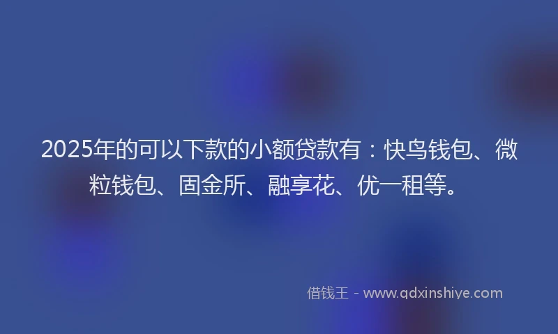 2025年的可以下款的小额贷款有：快鸟钱包、微粒钱包、固金所、融享花、优一租等。