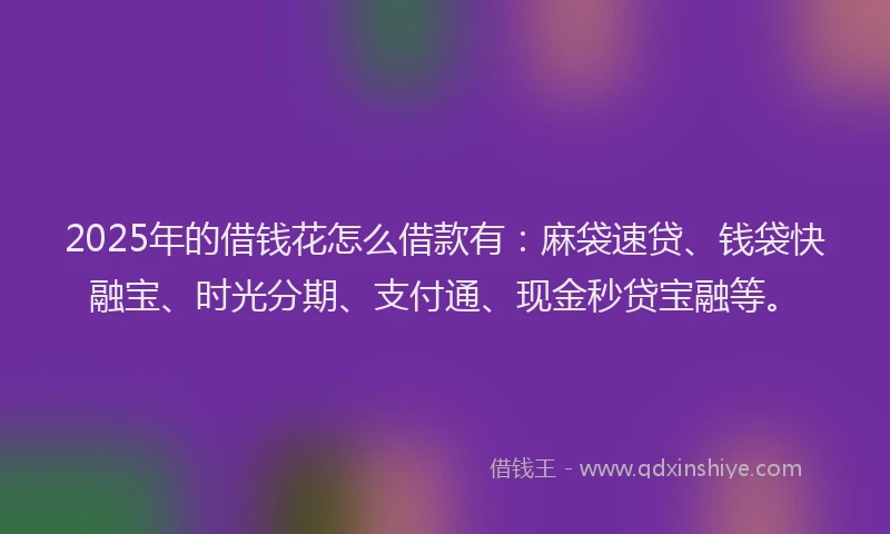 2025年的借钱花怎么借款有：麻袋速贷、钱袋快融宝、时光分期、支付通、现金秒贷宝融等。