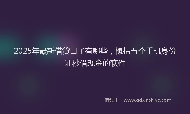 2025年最新借贷口子有哪些，概括五个手机身份证秒借现金的软件