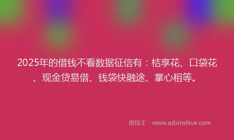 2025年的借钱不看数据征信有：桔享花、口袋花、现金贷易借、钱袋快融途、掌心租等。