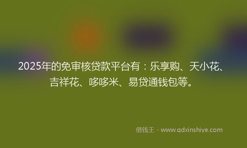 2025年的免审核贷款平台有：乐享购、天小花、吉祥花、哆哆米、易贷通钱包等。