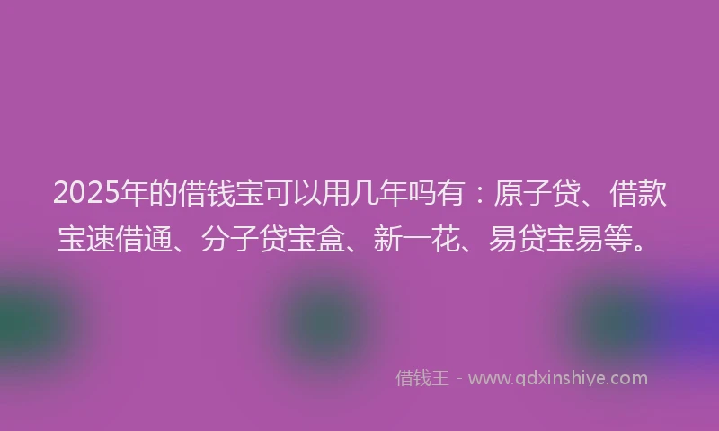 2025年的借钱宝可以用几年吗有：原子贷、借款宝速借通、分子贷宝盒、新一花、易贷宝易等。