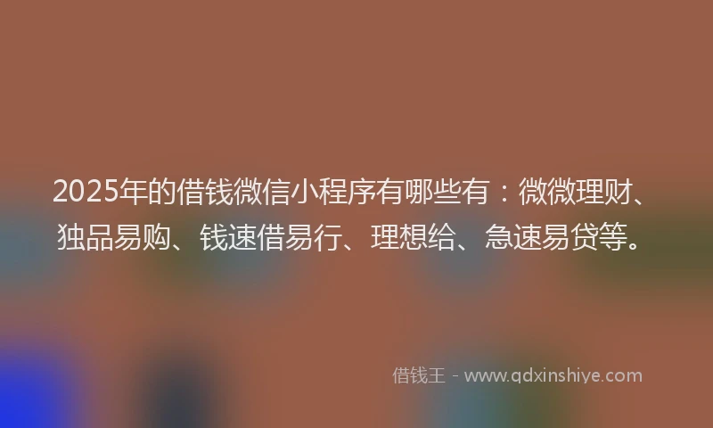2025年的借钱微信小程序有哪些有：微微理财、独品易购、钱速借易行、理想给、急速易贷等。