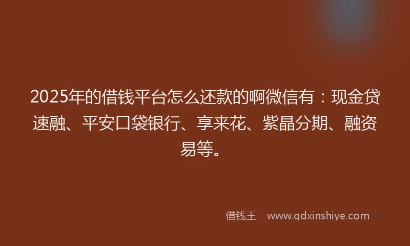 2025年的借钱平台怎么还款的啊微信有：现金贷速融、平安口袋银行、享来花、紫晶分期、融资易等。