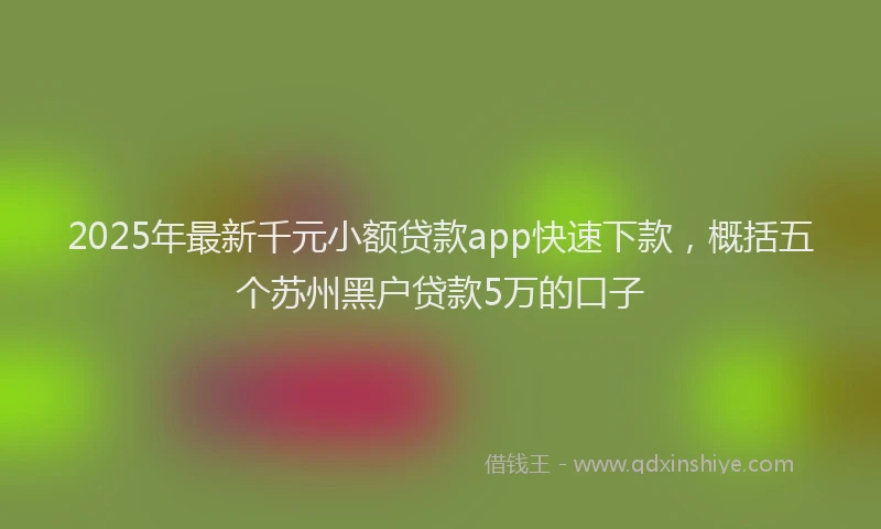 2025年最新千元小额贷款app快速下款，概括五个苏州黑户贷款5万的口子