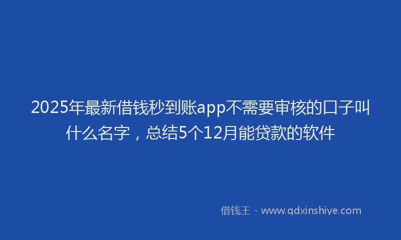 2025年最新借钱秒到账app不需要审核的口子叫什么名字，总结5个12月能贷款的软件