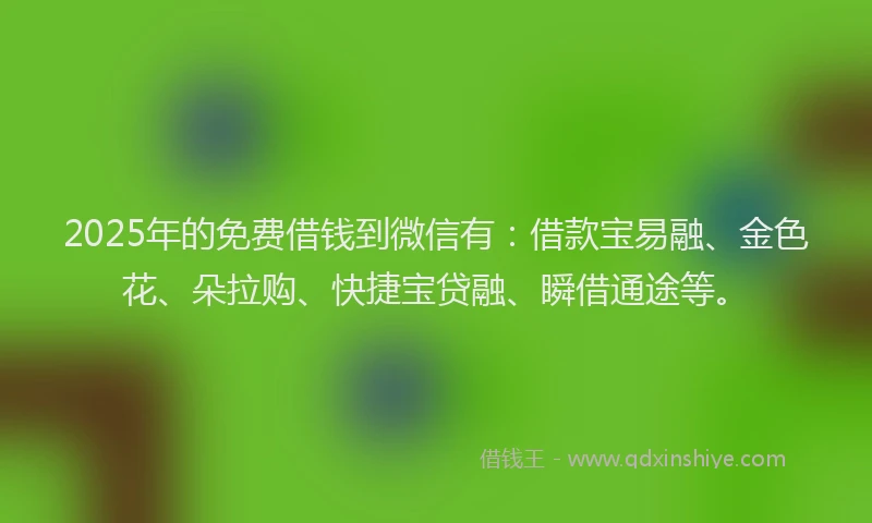 2025年的免费借钱到微信有：借款宝易融、金色花、朵拉购、快捷宝贷融、瞬借通途等。