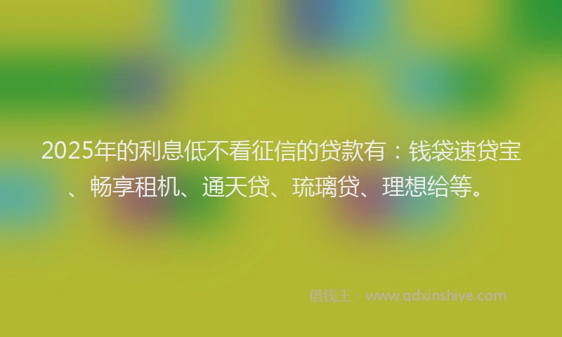2025年的利息低不看征信的贷款有：钱袋速贷宝、畅享租机、通天贷、琉璃贷、理想给等。